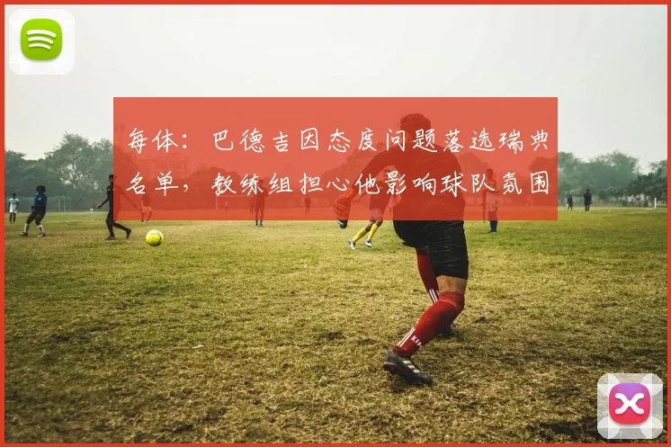 每体：巴德吉因态度问题落选瑞典名单，教练组担心他影响球队氛围