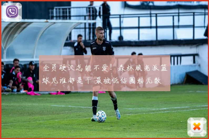 全员硬汉怎能不爱！森林狼老派篮球见谁都是干 最被低估圈粉无数