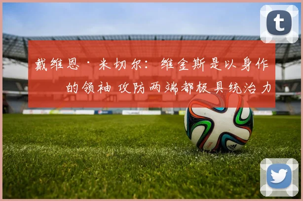 戴维恩·米切尔：维金斯是以身作则的领袖 攻防两端都极具统治力